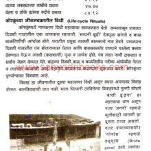 Adivasi Vishwa_Sample1