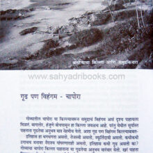 Anvat_sample1 Anvat_sample1