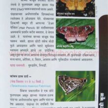 MaharashtrateelFulpakhare_sample Maharashtratil Fulpakhare_sample