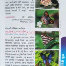 MaharashtrateelFulpakhare_sample1 Maharashtratil Fulpakhare_sample1