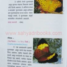 MaharashtrateelFulpakhare_sample2 Maharashtrateel Fulpakhare_sample2