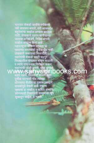 Navrangacha gharta_B