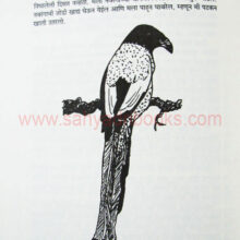 Navrangacha gharta_Sample2