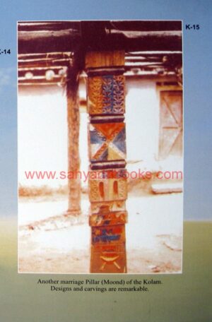 Tribal Life and Culture_Sample2