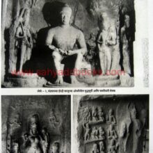 VerulLeni_Sample Verul Leni_Sample