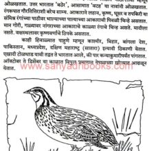 Anandadayi Bagale_Sample1