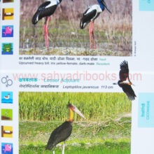 BirdsofMaharashtra_Sample1 Birds of Maharashtra_Sample1