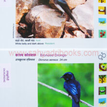 BirdsofMaharashtra_Sample2 Birds of Maharashtra_Sample2