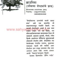 Safar Mumbaichya Vruksh Tirthanchi_Sample