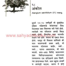 Safar Mumbaichya Vruksh Tirthanchi_Sample2