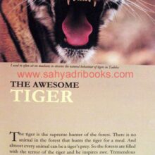 Trailing The Tiger_Sample1