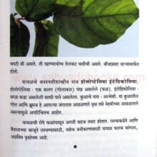 Aple Vruksha_sample2