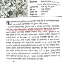 Arogyadayi Ranbhajya_Sample2