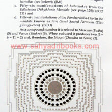 Numbers Their Iconographic_Sample2