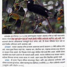 MaharashtratilSankatGrastPakshi_Sample2 MaharashtratilSankatGrastPakshi_Sample2