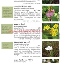 The-Other-Mahabaleshwar_Sample2