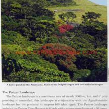 WalkingtheWesternGhat _Sample Walking-the-Western-Ghat_Sample