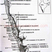 thewesternghats_sample2 the western ghats_Sample2