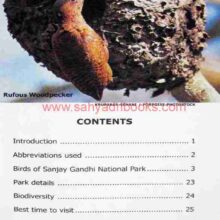 BirdsofSanjayGandhiPark_I