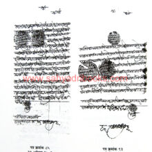 ShriMorya-Gosavi-Sanadapatre_Sample2