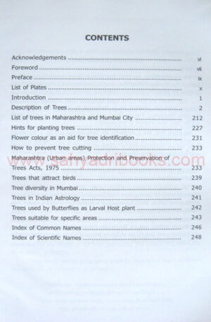 The trees of Mumbai_I