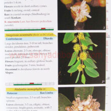 AdditionstoFlowersofSahyadri_Sample AdditionstoFlowersofSahyadri_Sample