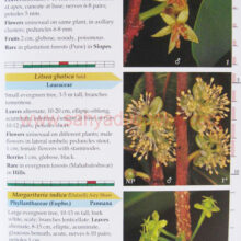 AdditionstoFlowersofSahyadri_Sample1 AdditionstoFlowersofSahyadri_Sample1