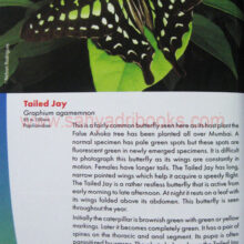 ButterfliesofMumbai_sample1 ButterfliesofMumbai_sample1