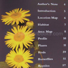 florafaunaofsinhagad_I