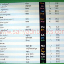 florafaunaofsinhagad_Sample