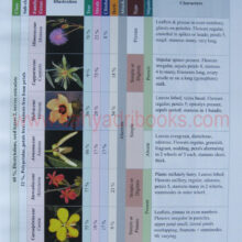 flowersofsahyadri_Sample