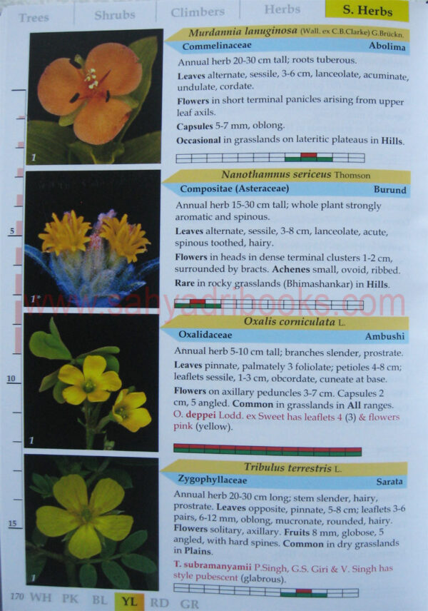 flowersofsahyadri_Sample2