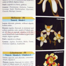 furtherflowersofsahyadri_Sample furtherflowersofsahyadri_Sample