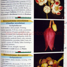 furtherflowersofsahyadri_Sample2 furtherflowersofsahyadri_Sample2