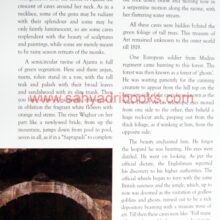 Ajanta_RT_Sample Ajanta_RT_Sample