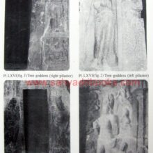 AurangabadCaves_Sample2 AurangabadCaves_Sample2