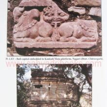 BrahmanicalTempleArtinHadoti_sample2