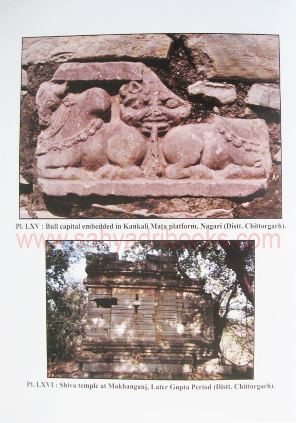 BrahmanicalTempleArtinHadoti_sample2