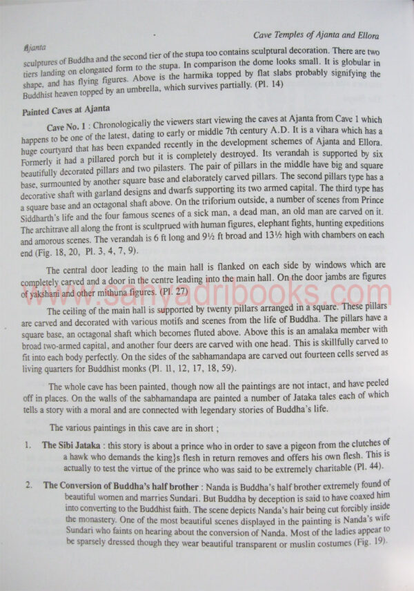 CaveTemplesAjantaEllora_sample