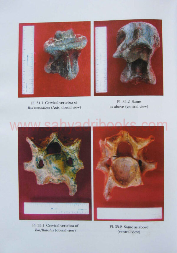 HeritagePalaeontological_Sample2