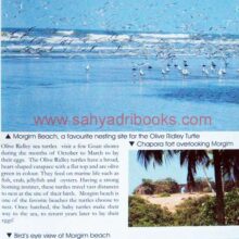 HundredGoanexperiences _Sample