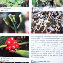 HundredGoanexperiences _Sample2