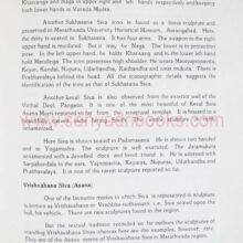 IconographyofTemplesinMarathwada_Sample1