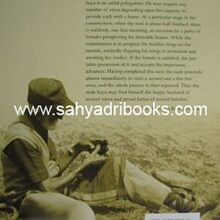 IllustratedSalimAli_B IllustratedSalimAli_B