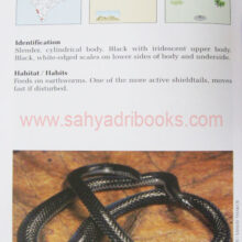 IndianSnakes_Sample1