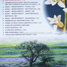 Kaas-plateau-of-flowers_I1