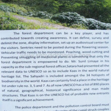 Kaas-plateau-of-flowers_sample