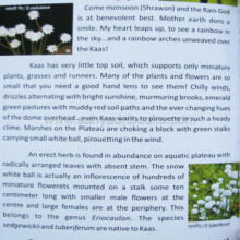 Kaas-plateau-of-flowers_sample1