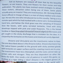 Kaas-plateau-of-flowers_sample2