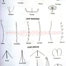 ManualFieldBotany_sample